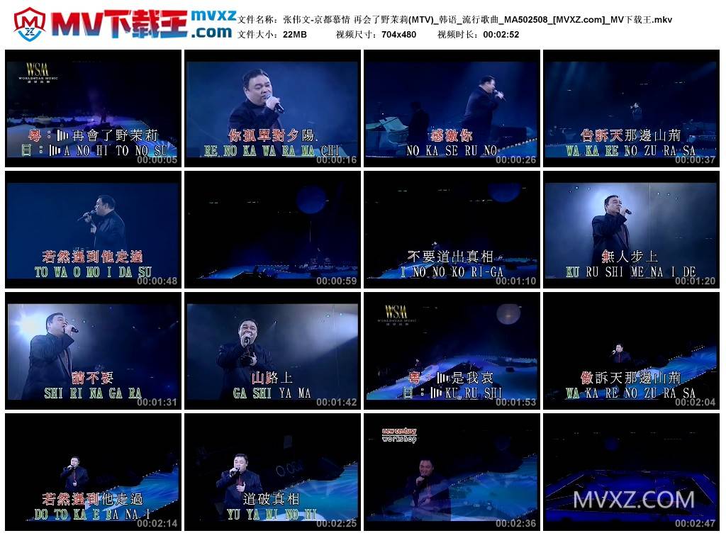 张伟文-京都慕情 再会了野茉莉(MTV)_韩语_流行歌曲_MA502508